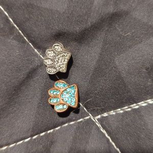 Pawl charms